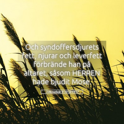 Picture 05 - 3 Mosebok 9:10 SV1917 - Och syndoffersdjurets fett, njurar och leverfett - Bible Verse Picture