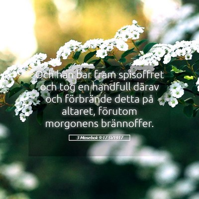 Picture 05 - 3 Mosebok 9:17 SV1917 - Och han bar fram spisoffret och tog en handfull - Bible Verse Picture