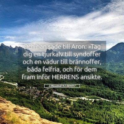 Picture 05 - 3 Mosebok 9:2 SV1917 - Och han sade till Aron: »Tag dig en tjurkalv - Bible Verse Picture