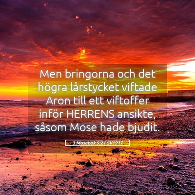 Picture 05 - 3 Mosebok 9:21 SV1917 - Men bringorna och det högra lårstycket viftade - Bible Verse Picture