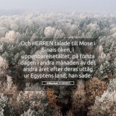Picture 05 - 4 Mosebok 1:1 SV1917 - Och HERREN talade till Mose i Sinais öken, i - Bible Verse Picture