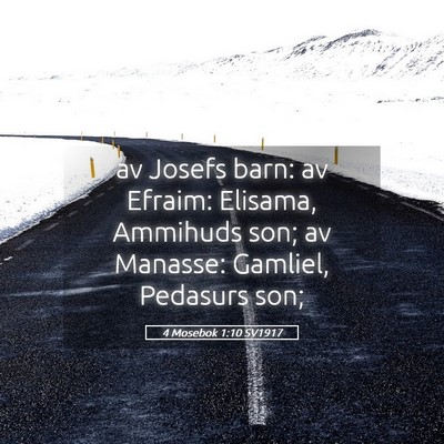 Picture 05 - 4 Mosebok 1:10 SV1917 - av Josefs barn: av Efraim: Elisama, Ammihuds son; - Bible Verse Picture