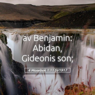 Picture 05 - 4 Mosebok 1:11 SV1917 - av Benjamin: Abidan, Gideonis - Bible Verse Picture