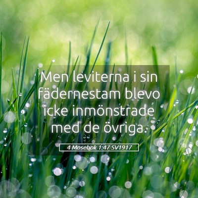 Picture 05 - 4 Mosebok 1:47 SV1917 - Men leviterna i sin fädernestam blevo icke - Bible Verse Picture