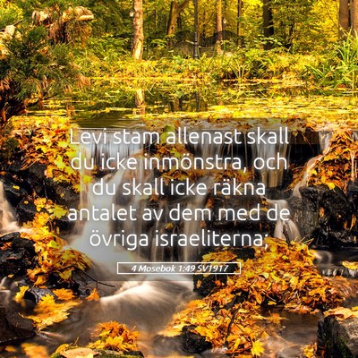 Picture 05 - 4 Mosebok 1:49 SV1917 - Levi stam allenast skall du icke inmönstra, och - Bible Verse Picture