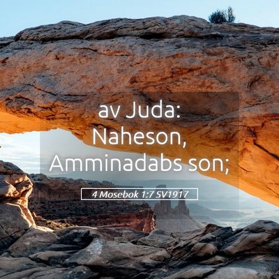 Picture 05 - 4 Mosebok 1:7 SV1917 - av Juda: Naheson, Amminadabs - Bible Verse Picture