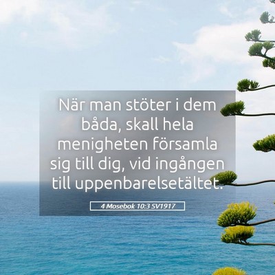 Picture 05 - 4 Mosebok 10:3 SV1917 - När man stöter i dem båda, skall hela - Bible Verse Picture