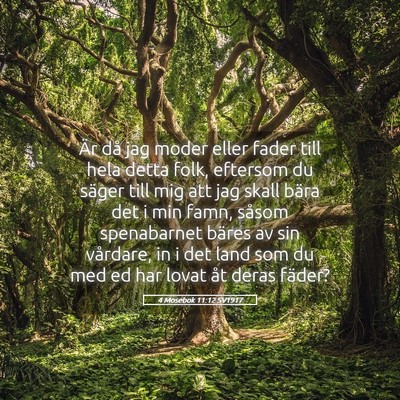 Picture 05 - 4 Mosebok 11:12 SV1917 - Är då jag moder eller fader till hela detta - Bible Verse Picture