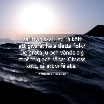 Picture 05 - 4 Mosebok 11:13 SV1917 - Varifrån skall jag få kött att giva åt hela - Bible Verse Picture
