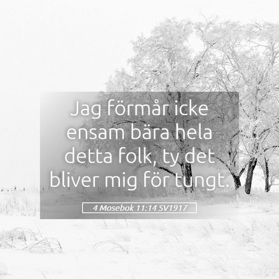 Picture 05 - 4 Mosebok 11:14 SV1917 - Jag förmår icke ensam bära hela detta folk, ty - Bible Verse Picture