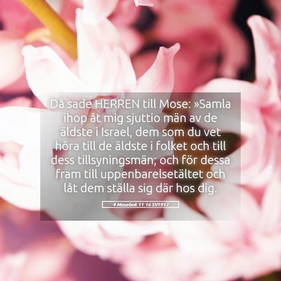 Picture 05 - 4 Mosebok 11:16 SV1917 - Då sade HERREN till Mose: »Samla ihop åt mig - Bible Verse Picture