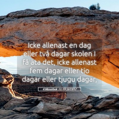 Picture 05 - 4 Mosebok 11:19 SV1917 - Icke allenast en dag eller två dagar skolen I - Bible Verse Picture