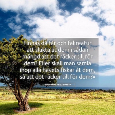 Picture 05 - 4 Mosebok 11:22 SV1917 - Finnas då får och fäkreatur att slakta åt dem - Bible Verse Picture
