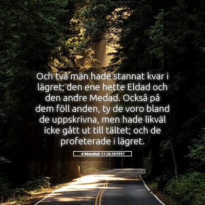 Picture 05 - 4 Mosebok 11:26 SV1917 - Och två män hade stannat kvar i lägret; den - Bible Verse Picture