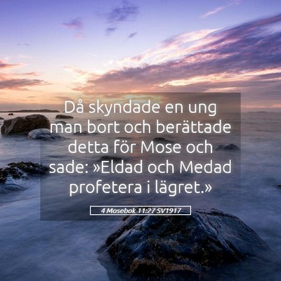 Picture 05 - 4 Mosebok 11:27 SV1917 - Då skyndade en ung man bort och berättade detta - Bible Verse Picture