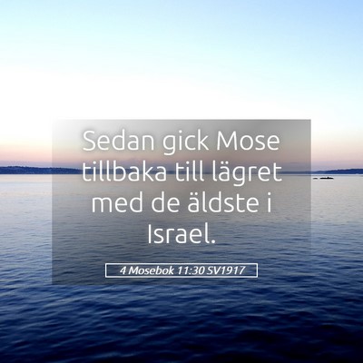 Picture 05 - 4 Mosebok 11:30 SV1917 - Sedan gick Mose tillbaka till lägret med de - Bible Verse Picture