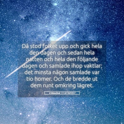 Picture 05 - 4 Mosebok 11:32 SV1917 - Då stod folket upp och gick hela den dagen och - Bible Verse Picture