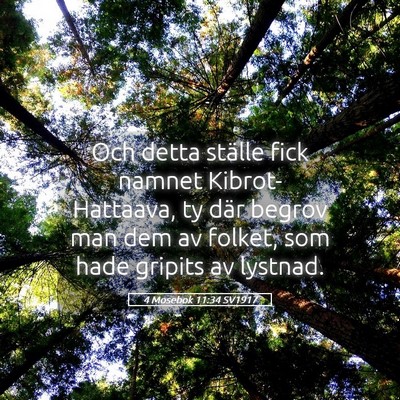 Picture 05 - 4 Mosebok 11:34 SV1917 - Och detta ställe fick namnet Kibrot-Hattaava, ty - Bible Verse Picture