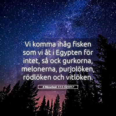 Picture 05 - 4 Mosebok 11:5 SV1917 - Vi komma ihåg fisken som vi åt i Egypten för - Bible Verse Picture