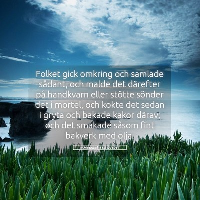 Picture 05 - 4 Mosebok 11:8 SV1917 - Folket gick omkring och samlade sådant, och - Bible Verse Picture