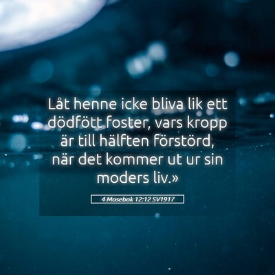 Picture 05 - 4 Mosebok 12:12 SV1917 - Låt henne icke bliva lik ett dödfött foster, - Bible Verse Picture