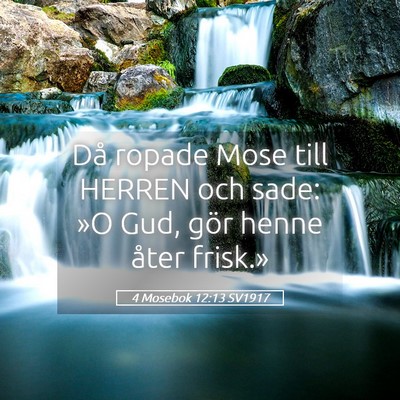 Picture 05 - 4 Mosebok 12:13 SV1917 - Då ropade Mose till HERREN och sade: »O Gud, - Bible Verse Picture