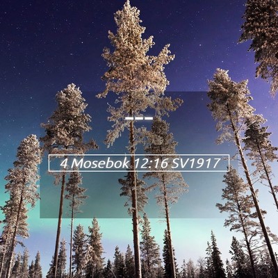 Picture 05 - 4 Mosebok 12:16 SV1917 -  - Bible Verse Picture