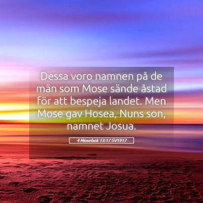Picture 05 - 4 Mosebok 13:17 SV1917 - Dessa voro namnen på de män som Mose sände - Bible Verse Picture