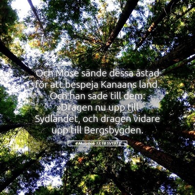 Picture 05 - 4 Mosebok 13:18 SV1917 - Och Mose sände dessa åstad för att bespeja - Bible Verse Picture