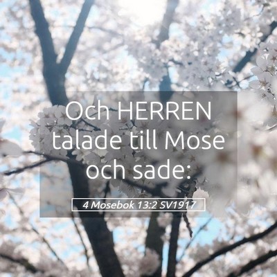 Picture 05 - 4 Mosebok 13:2 SV1917 - Och HERREN talade till Mose och - Bible Verse Picture