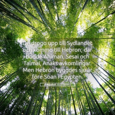 Picture 05 - 4 Mosebok 13:23 SV1917 - De drogo upp till Sydlandet och kommo till - Bible Verse Picture