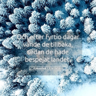 Picture 05 - 4 Mosebok 13:26 SV1917 - Och efter fyrtio dagar vände de tillbaka, sedan - Bible Verse Picture