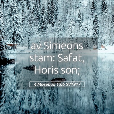 Picture 05 - 4 Mosebok 13:6 SV1917 - av Simeons stam: Safat, Horis - Bible Verse Picture