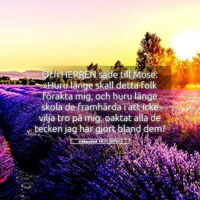 Picture 05 - 4 Mosebok 14:11 SV1917 - Och HERREN sade till Mose: »Huru länge skall - Bible Verse Picture