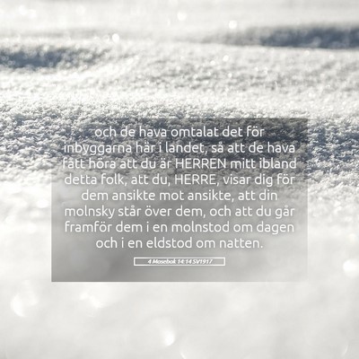 Picture 05 - 4 Mosebok 14:14 SV1917 - och de hava omtalat det för inbyggarna här i - Bible Verse Picture