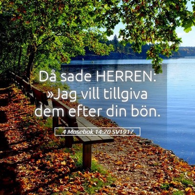 Picture 05 - 4 Mosebok 14:20 SV1917 - Då sade HERREN: »Jag vill tillgiva dem efter - Bible Verse Picture