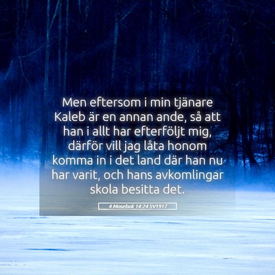 Picture 05 - 4 Mosebok 14:24 SV1917 - Men eftersom i min tjänare Kaleb är en annan - Bible Verse Picture