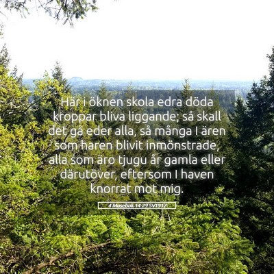 Picture 05 - 4 Mosebok 14:29 SV1917 - Här i öknen skola edra döda kroppar bliva - Bible Verse Picture