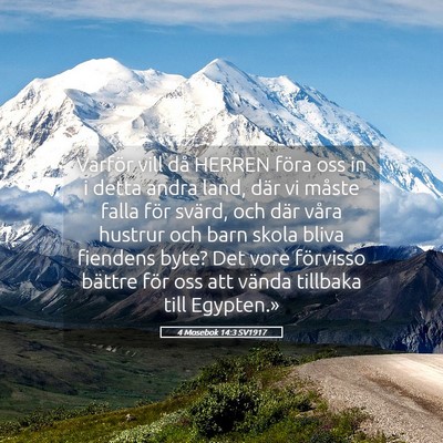 Picture 05 - 4 Mosebok 14:3 SV1917 - Varför vill då HERREN föra oss in i detta - Bible Verse Picture