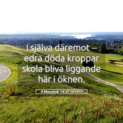 Picture 05 - 4 Mosebok 14:32 SV1917 - I själva däremot -- edra döda kroppar skola - Bible Verse Picture