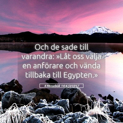 Picture 05 - 4 Mosebok 14:4 SV1917 - Och de sade till varandra: »Låt oss välja en - Bible Verse Picture