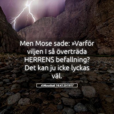 Picture 05 - 4 Mosebok 14:41 SV1917 - Men Mose sade: »Varför viljen I så överträda - Bible Verse Picture