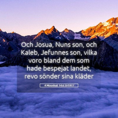 Picture 05 - 4 Mosebok 14:6 SV1917 - Och Josua, Nuns son, och Kaleb, Jefunnes son, - Bible Verse Picture