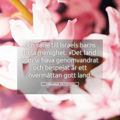 Picture 05 - 4 Mosebok 14:7 SV1917 - och sade till Israels barns hela menighet: »Det - Bible Verse Picture