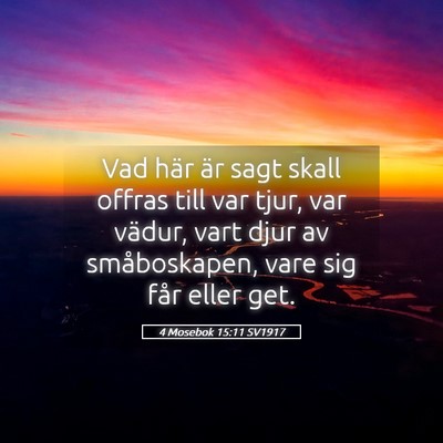 Picture 05 - 4 Mosebok 15:11 SV1917 - Vad här är sagt skall offras till var tjur, var - Bible Verse Picture