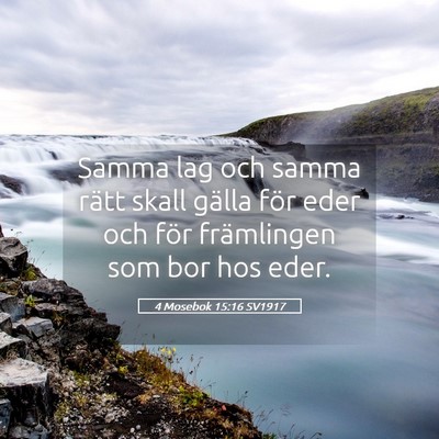 Picture 05 - 4 Mosebok 15:16 SV1917 - Samma lag och samma rätt skall gälla för eder - Bible Verse Picture