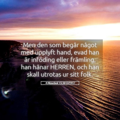 Picture 05 - 4 Mosebok 15:30 SV1917 - Men den som begår något med upplyft hand, evad - Bible Verse Picture