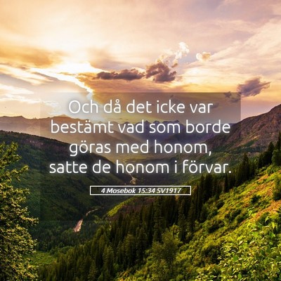 Picture 05 - 4 Mosebok 15:34 SV1917 - Och då det icke var bestämt vad som borde - Bible Verse Picture
