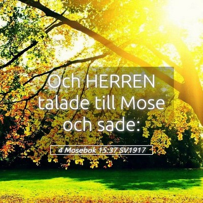 Picture 05 - 4 Mosebok 15:37 SV1917 - Och HERREN talade till Mose och - Bible Verse Picture