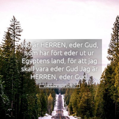 Picture 05 - 4 Mosebok 15:41 SV1917 - Jag är HERREN, eder Gud, som har fört eder ut - Bible Verse Picture